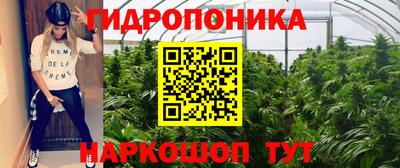 СК Чапаевск