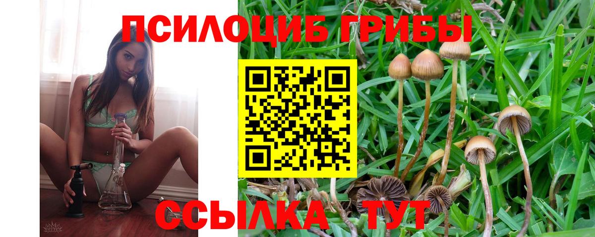 Псилоцибиновые грибы мухоморы  Вход с VPN  Сургут 